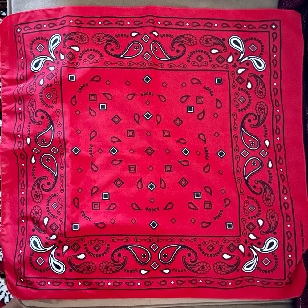 3 cotton handkerchiefs 22” x 22” - Picture 2 of 2